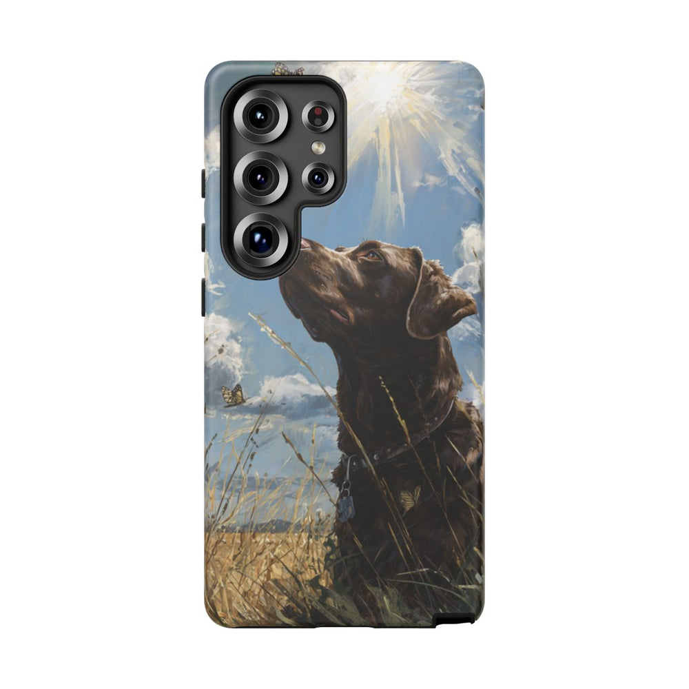 Chocoladekleurige Labrador met Vlinders in Veld