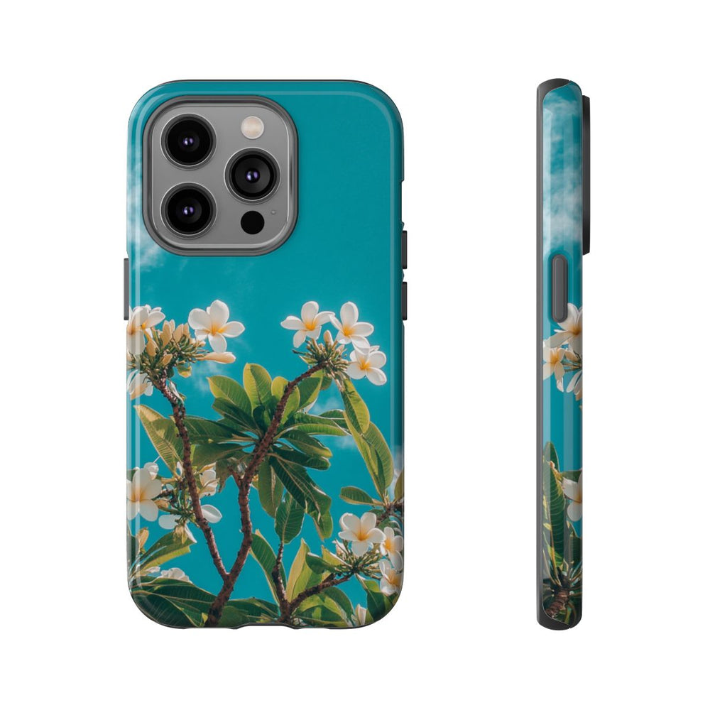 Witte Frangipanibloemen met Groene Bladeren