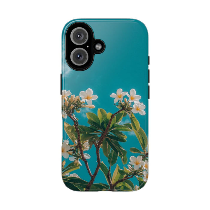 Witte Frangipanibloemen met Groene Bladeren