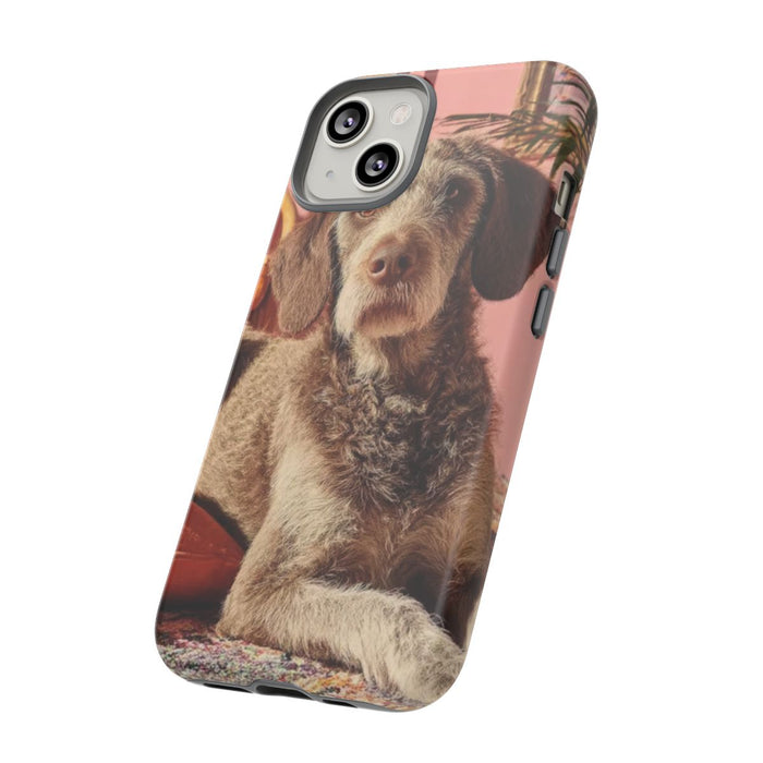 Bruine Hond Ontspant Binnen