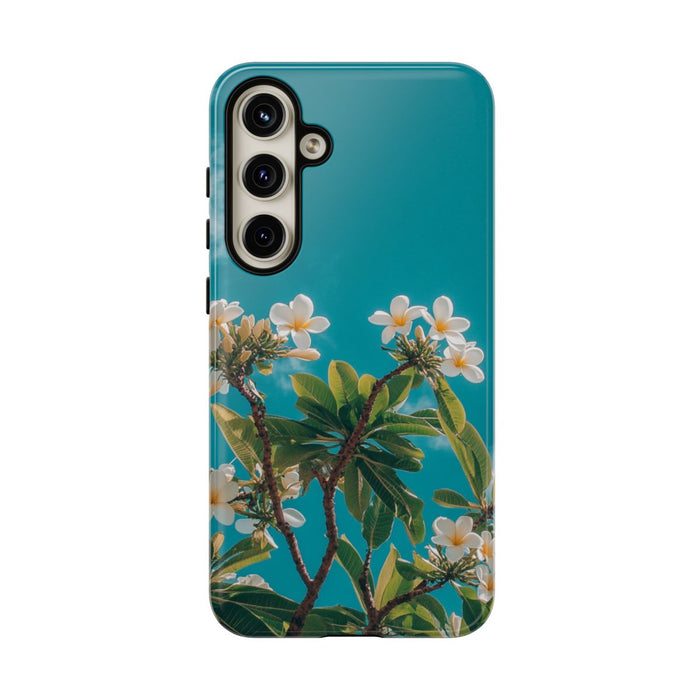Witte Frangipanibloemen met Groene Bladeren