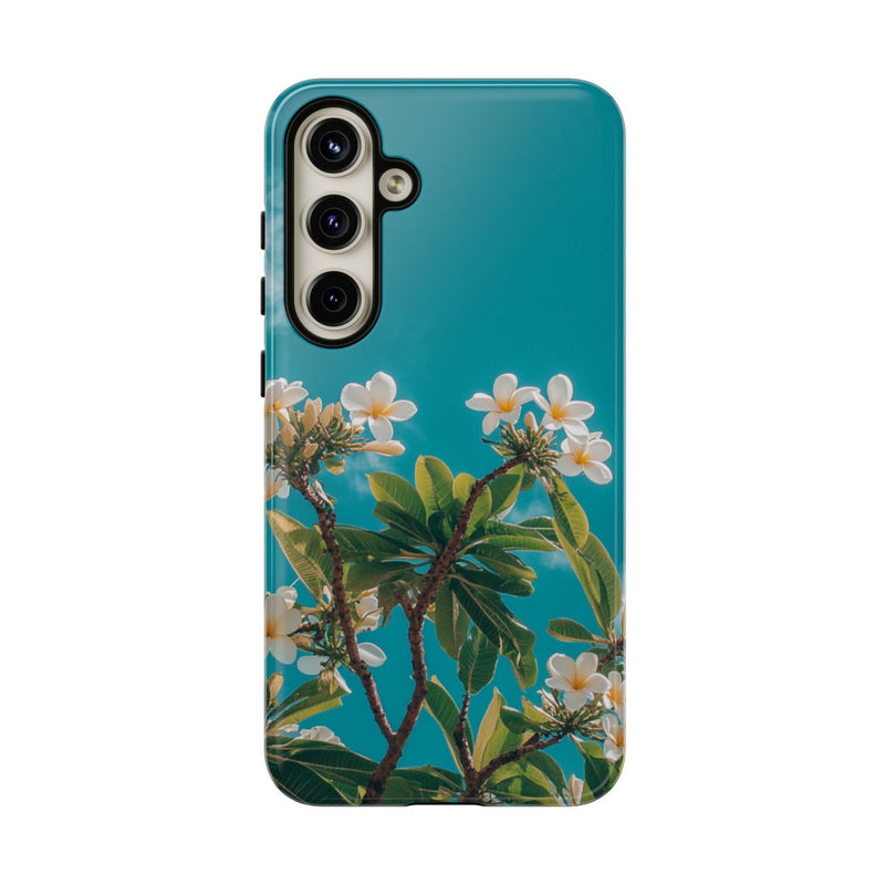 Witte Frangipanibloemen met Groene Bladeren