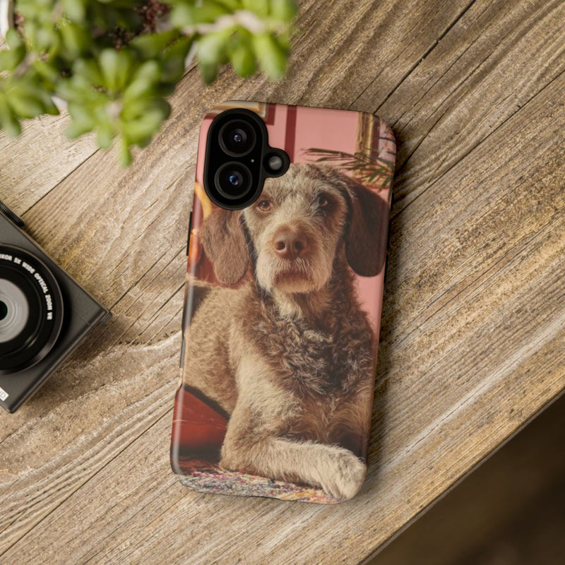 Bruine Hond Ontspant Binnen