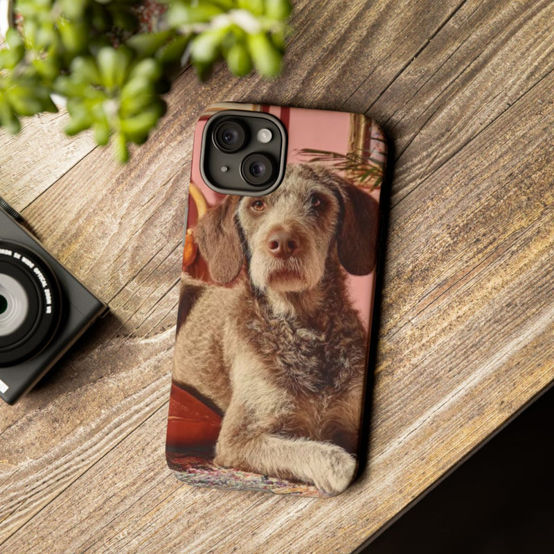 Bruine Hond Ontspant Binnen