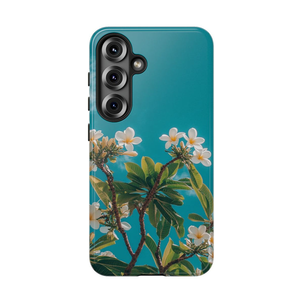 Witte Frangipanibloemen met Groene Bladeren