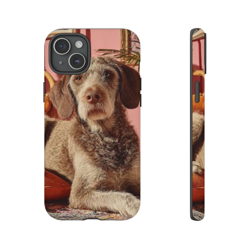 Bruine Hond Ontspant Binnen