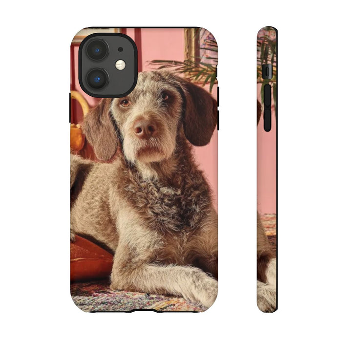 Bruine Hond Ontspant Binnen