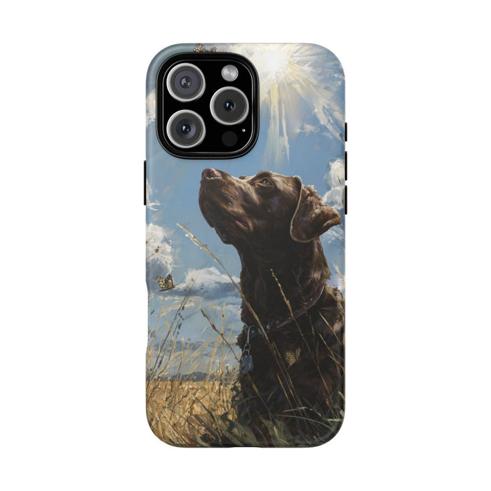 Chocoladekleurige Labrador met Vlinders in Veld