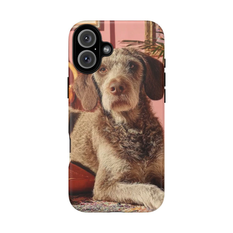 Bruine Hond Ontspant Binnen