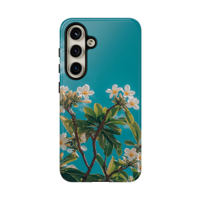 Witte Frangipanibloemen met Groene Bladeren