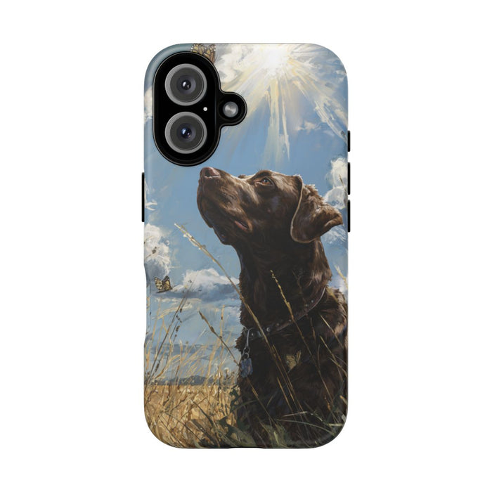 Chocoladekleurige Labrador met Vlinders in Veld