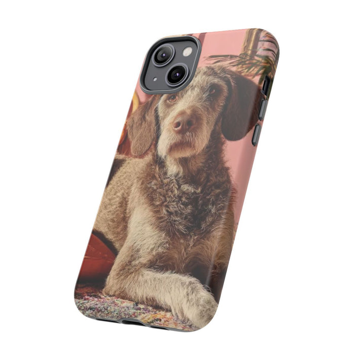 Bruine Hond Ontspant Binnen