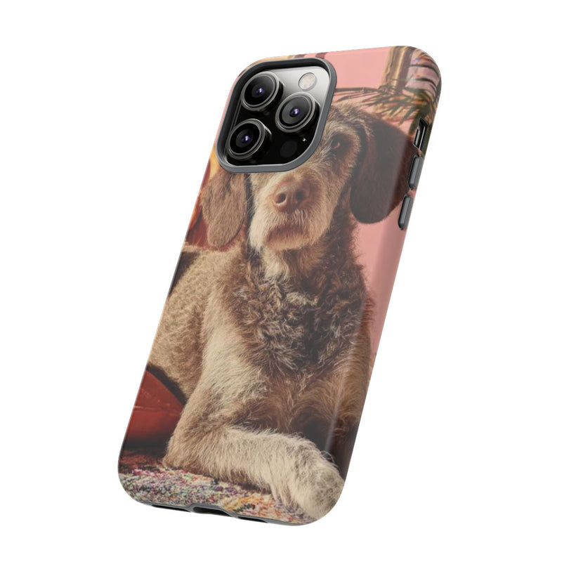 Bruine Hond Ontspant Binnen