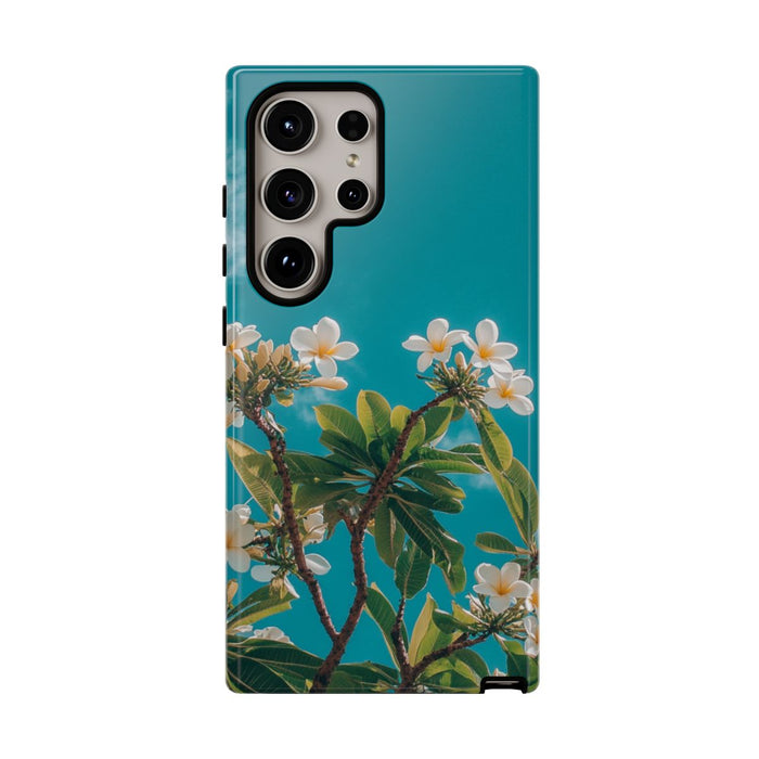 Witte Frangipanibloemen met Groene Bladeren