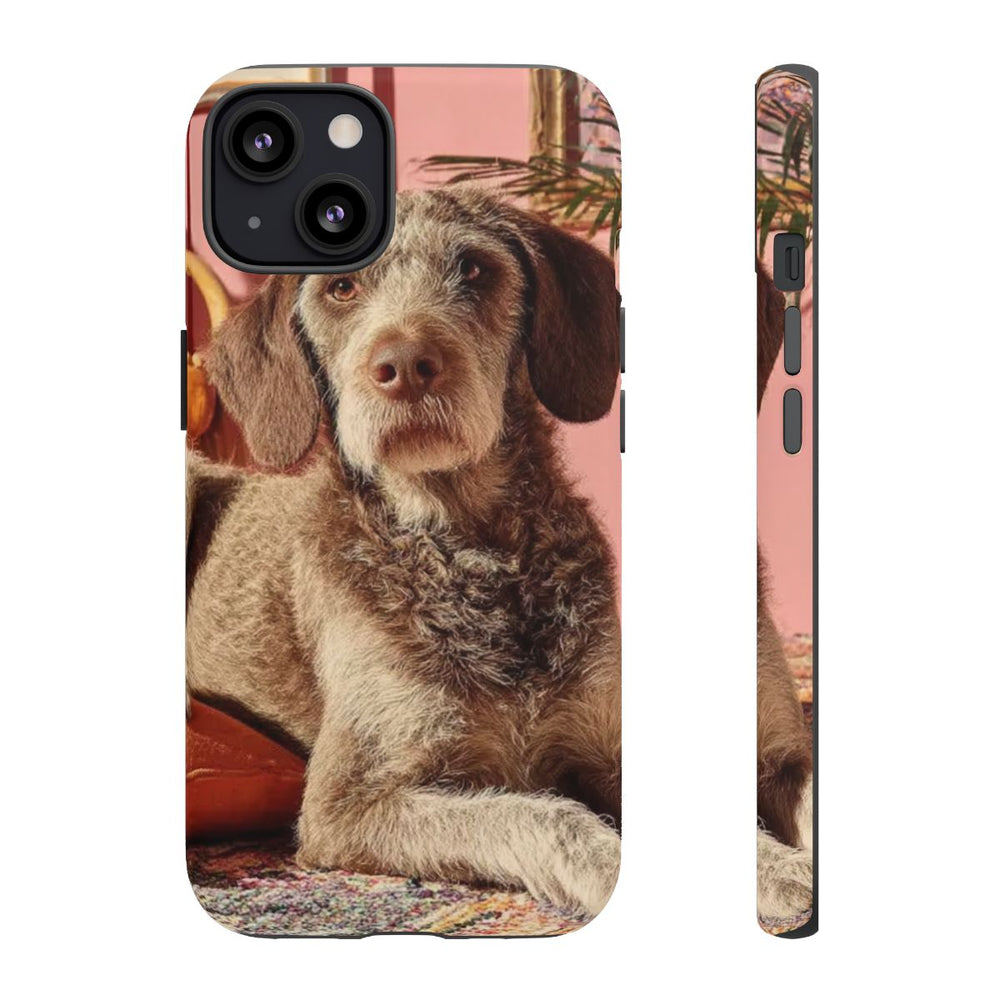 Bruine Hond Ontspant Binnen