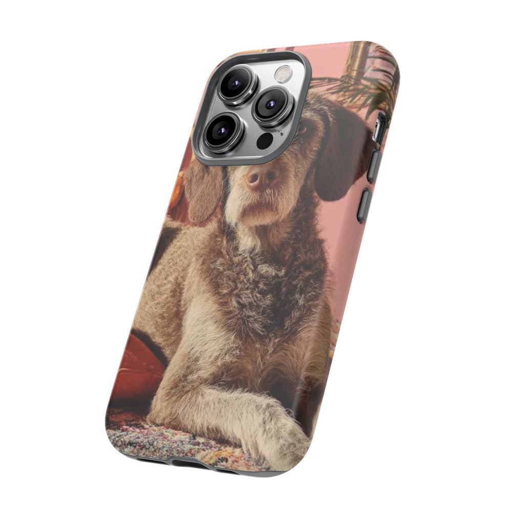 Bruine Hond Ontspant Binnen